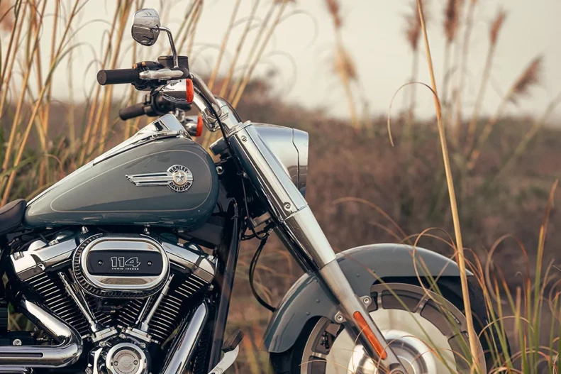 Harley-Davidson Fat Boy 114 2024, ficha técnica Fat Boy 114, motocicleta cruiser Harley-Davidson, especificaciones Fat Boy 114, precio Fat Boy 114 México, comparativa Fat Boy 114 vs Indian Chief, tecnología Harley-Davidson Fat Boy, rendimiento Fat Boy 114, diseño Fat Boy 2024, motocicleta estilo custom.