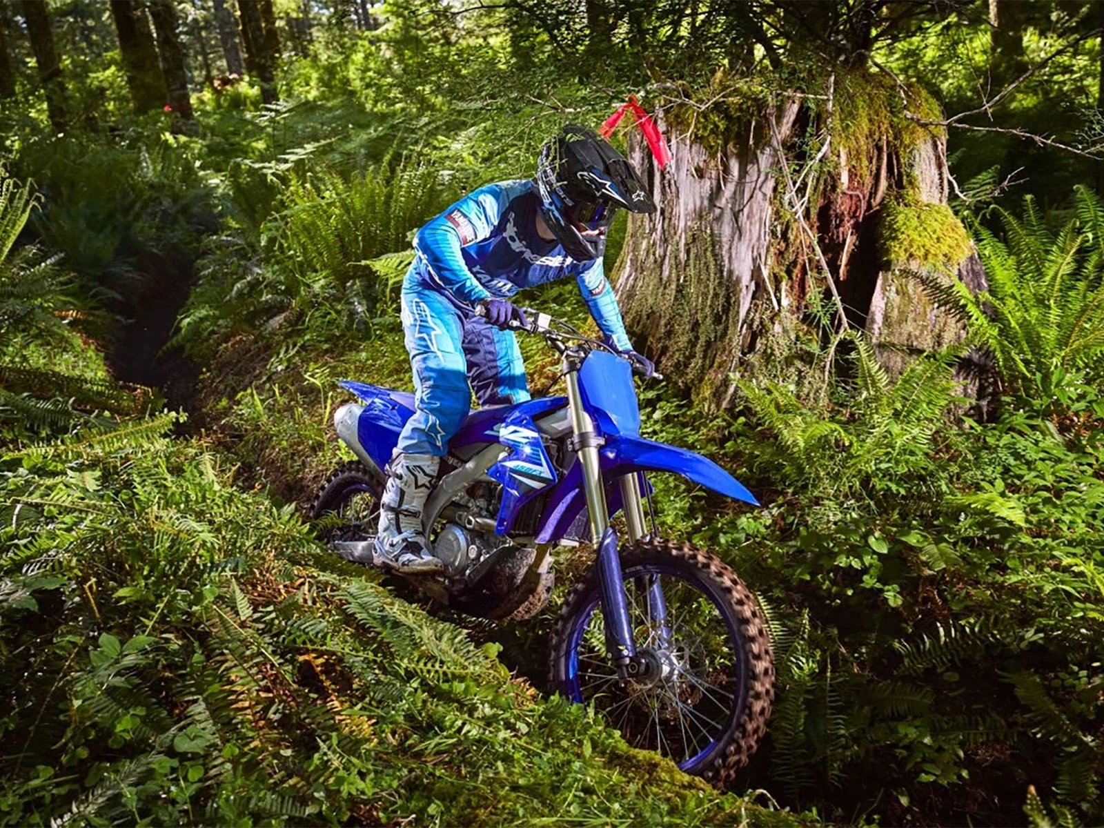 Yamaha YZ450FX 2025, moto XC Yamaha, ficha técnica YZ450FX, enduro competitivo, Power Tuner App, control de tracción YZ450FX, suspensión KYB off-road, cross-country Yamaha, comparativa 450XC, trail rider performance.